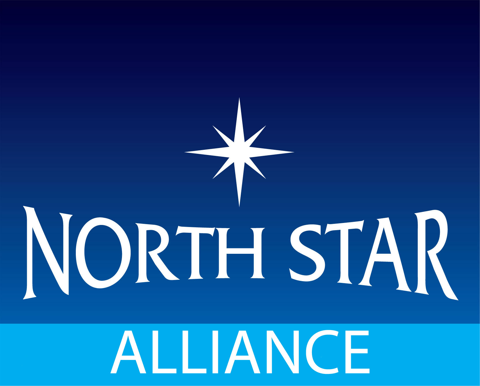 northstar logo LARGE